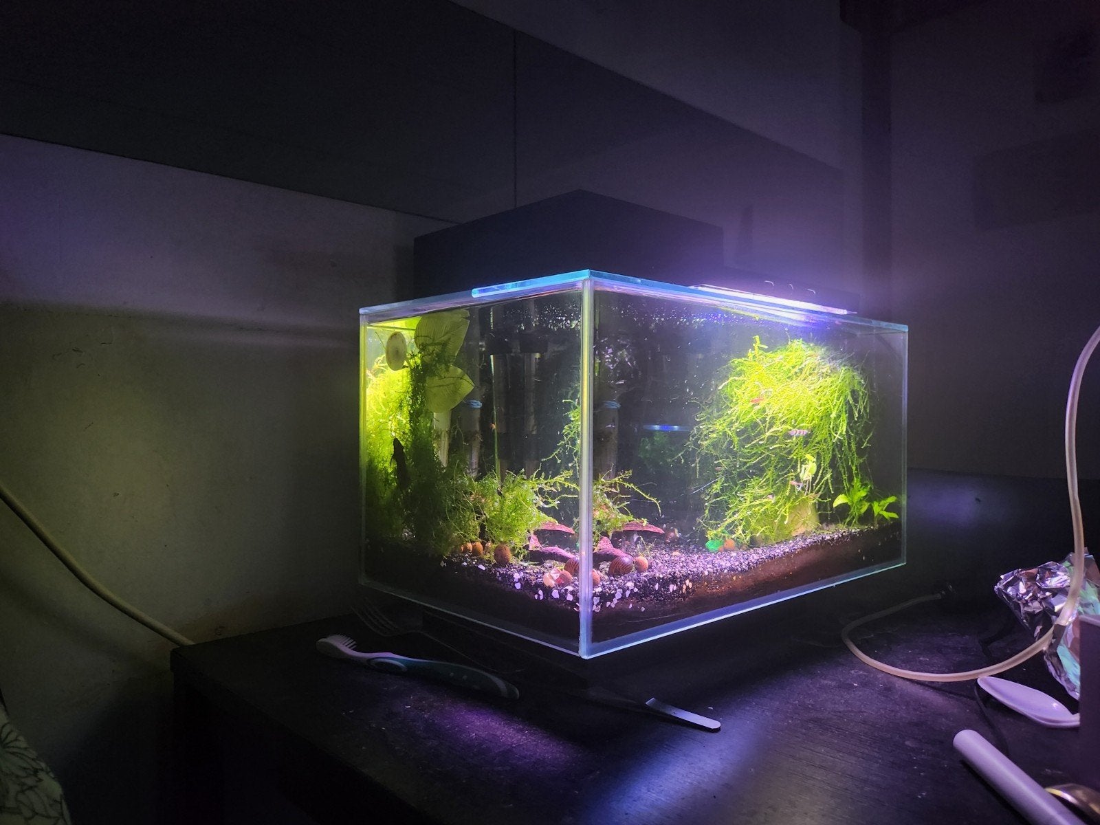 fluval edge aquarium 2.0, Ophalen, Gebruikt, Leeg aquarium
