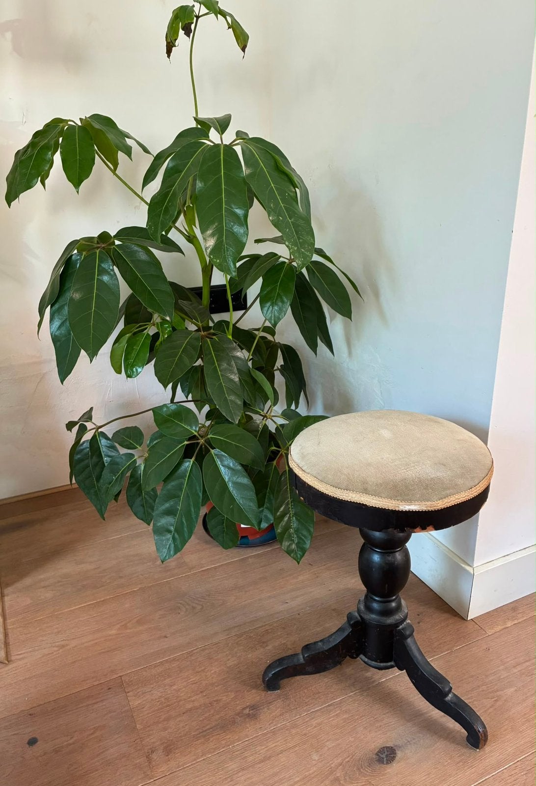 Vintage houten krukje / plantentafel, Huis en Inrichting, Tafels | Bijzettafels, Ophalen, Gebruikt, Rond, 75 cm of meer