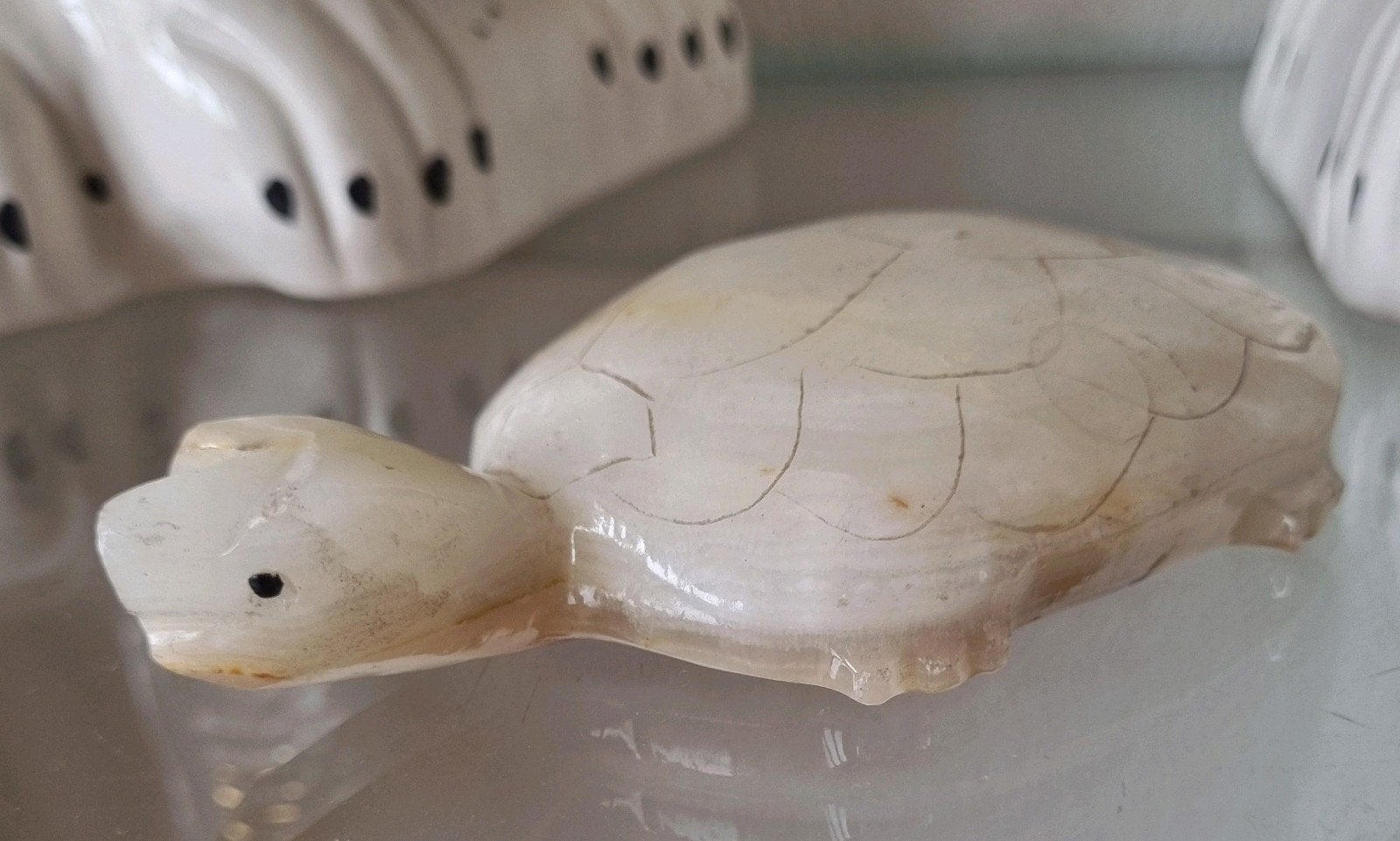 bijzondere schildpad van onyx - 218 gram Mexico, Ophalen, Dier