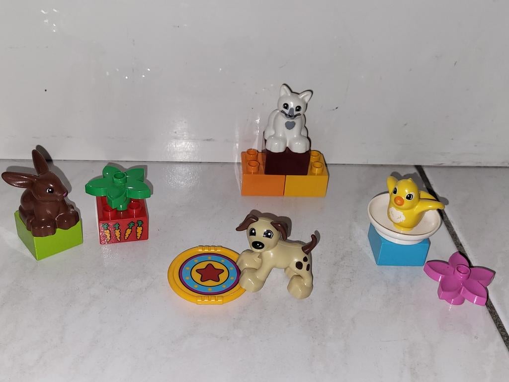 Duplo dieren huisdieren, Gebruikt, Ophalen of Verzenden, Duplo, Duplo