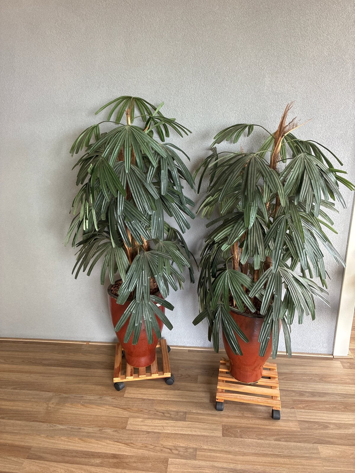 2 mooie kunstplanten in stenen potten - Ophalen Haarlem, Ophalen, Kunstplant, Met pot of vaas, Steen/keramiek