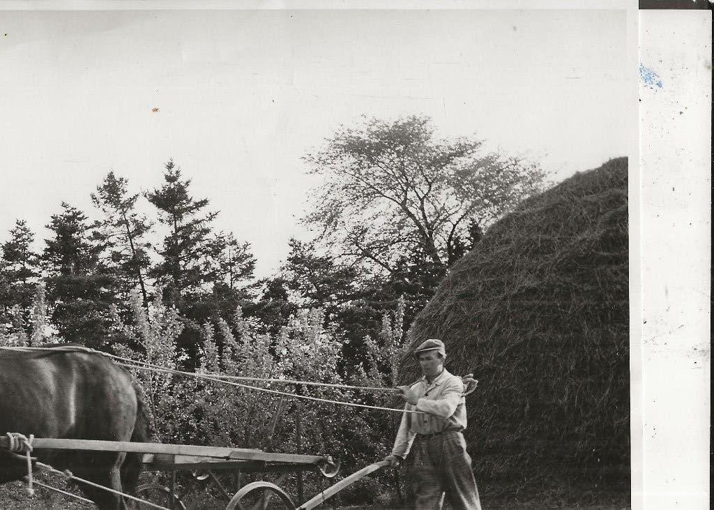 Denemarken Boegergaard Farm eggen suikerbietenveld Foto, Ophalen of Verzenden, Ongelopen, Overig Europa