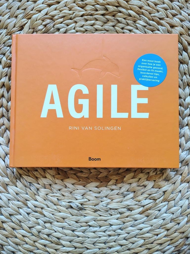 Rini van Solingen - Agile, Ophalen of Verzenden, Zo goed als nieuw, Management