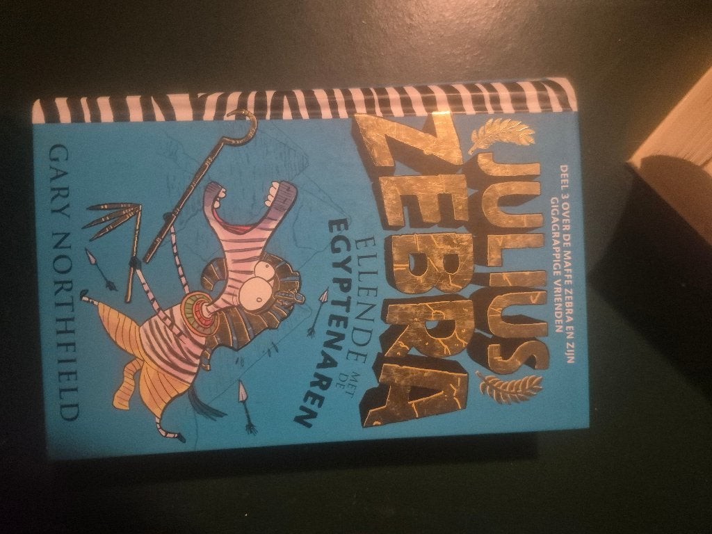 Leesboek grapman en julius zeebra, Ophalen of Verzenden, Zo goed als nieuw, Fictie algemeen