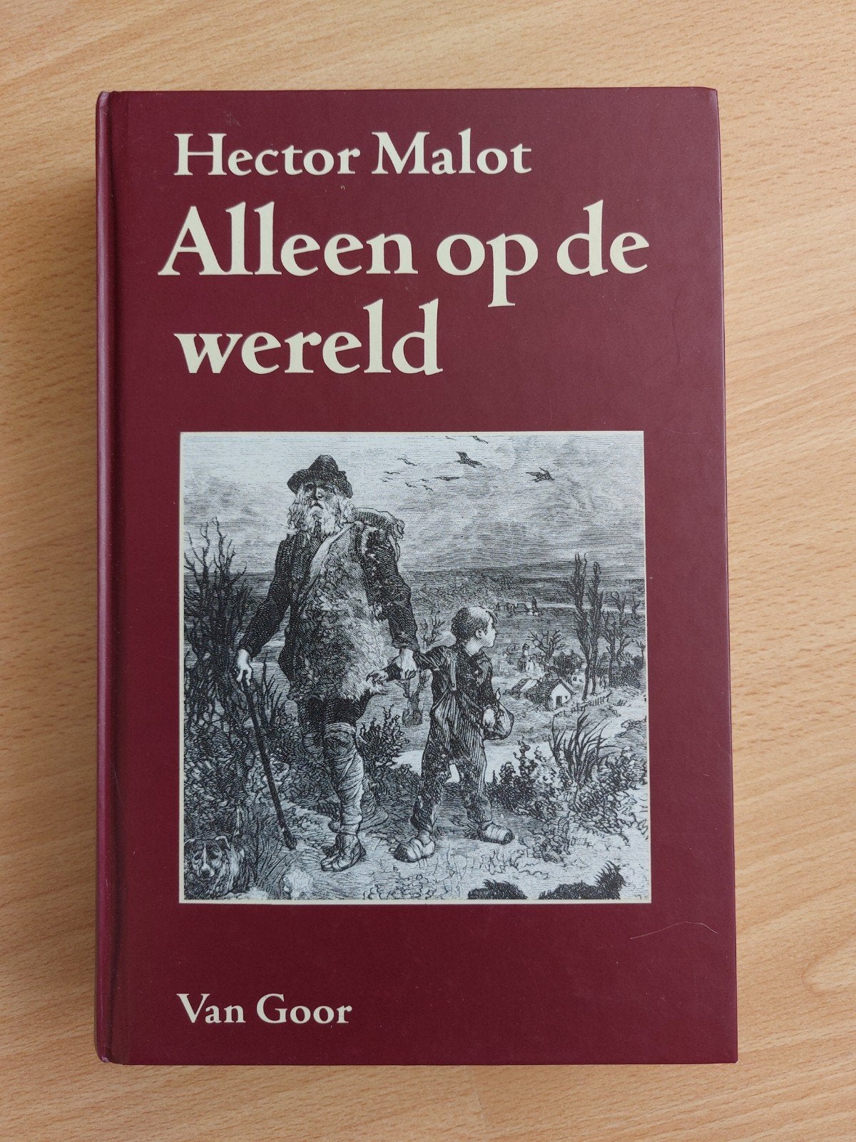 Alleen op de wereld van Hector Malot, Ophalen of Verzenden, Zo goed als nieuw
