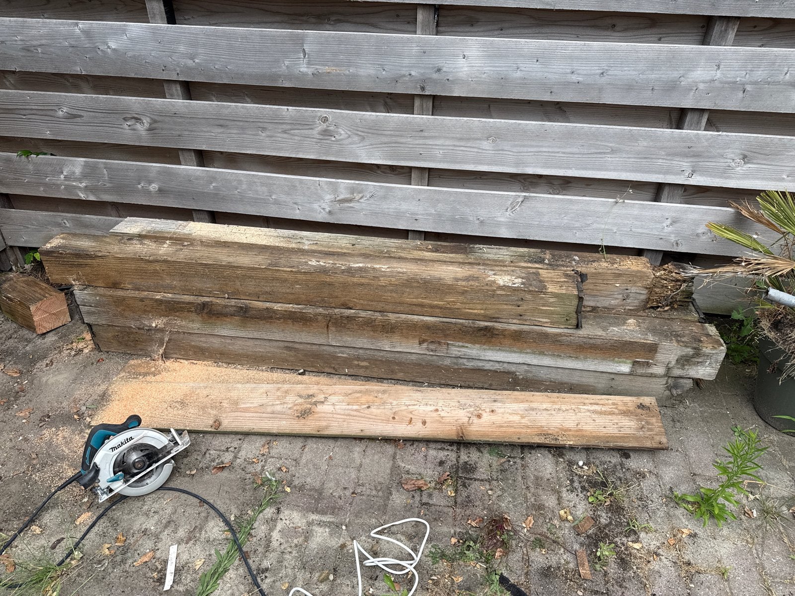 7 Douglas palen 14x14 - Verweerd maar niet verrot, Ophalen, Gebruikt, 200 tot 250 cm, 50 mm of meer