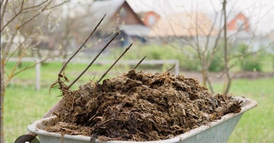 Paardenmest regio maasmechelen, Tuin en Terras, Aarde en Mest, Ophalen of Verzenden