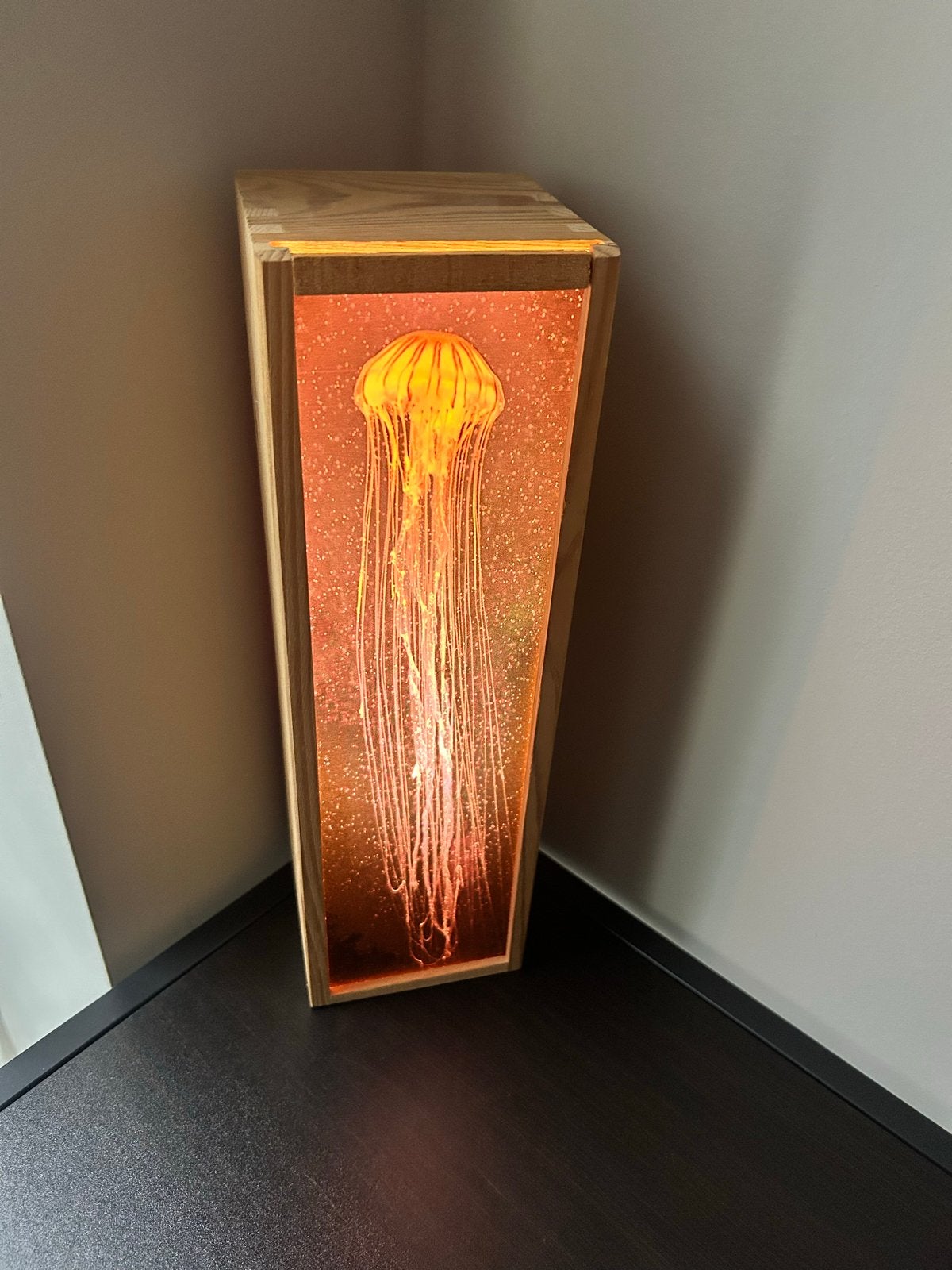 Unieke Kwaliteit Kwallenlamp - Sfeervolle Verlichting, Ophalen, Overige merken, Overige fittingen, Zo goed als nieuw