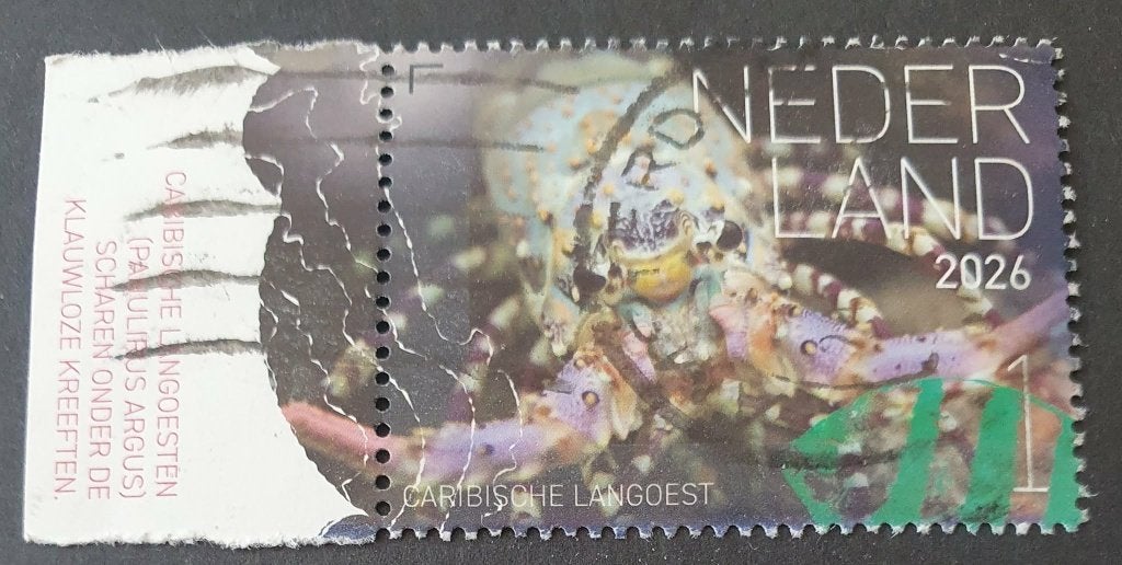 185-26 Nederland 2026 / Caribische Mangoest met tab, Verzenden, Na 1940, Gestempeld