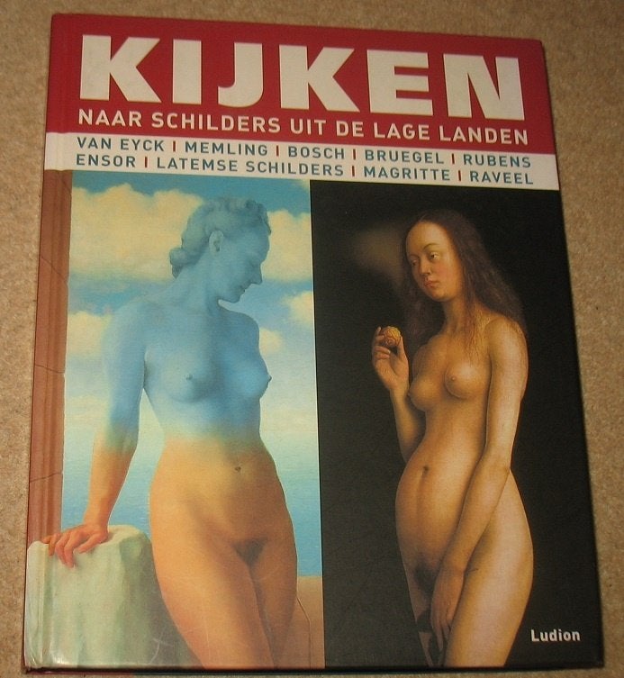 Kijken naar schilders uit de Lage Landen, Verzenden, Zo goed als nieuw