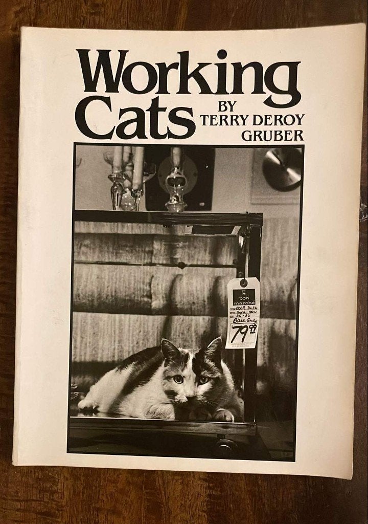 Boek: Working Cats, Ophalen of Verzenden, Gelezen, Katten