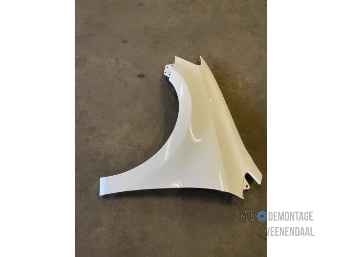 Scherm links-voor van een Volkswagen Polo (LB9A), -, Volkswagen, -, Nieuw