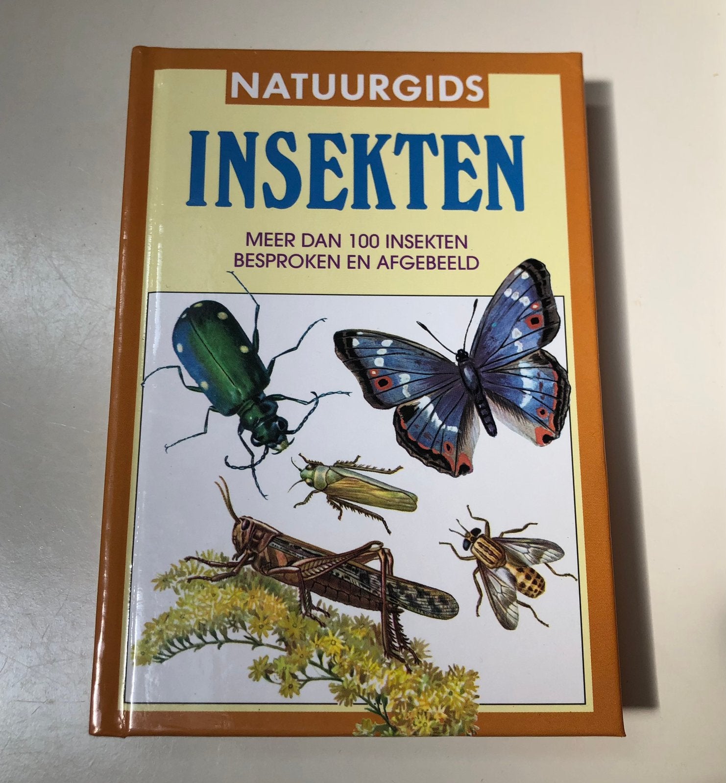 Insectenboek, natuurgids met mooie getekende plaatjes  erin, Ophalen of Verzenden, Zo goed als nieuw, Natuur algemeen