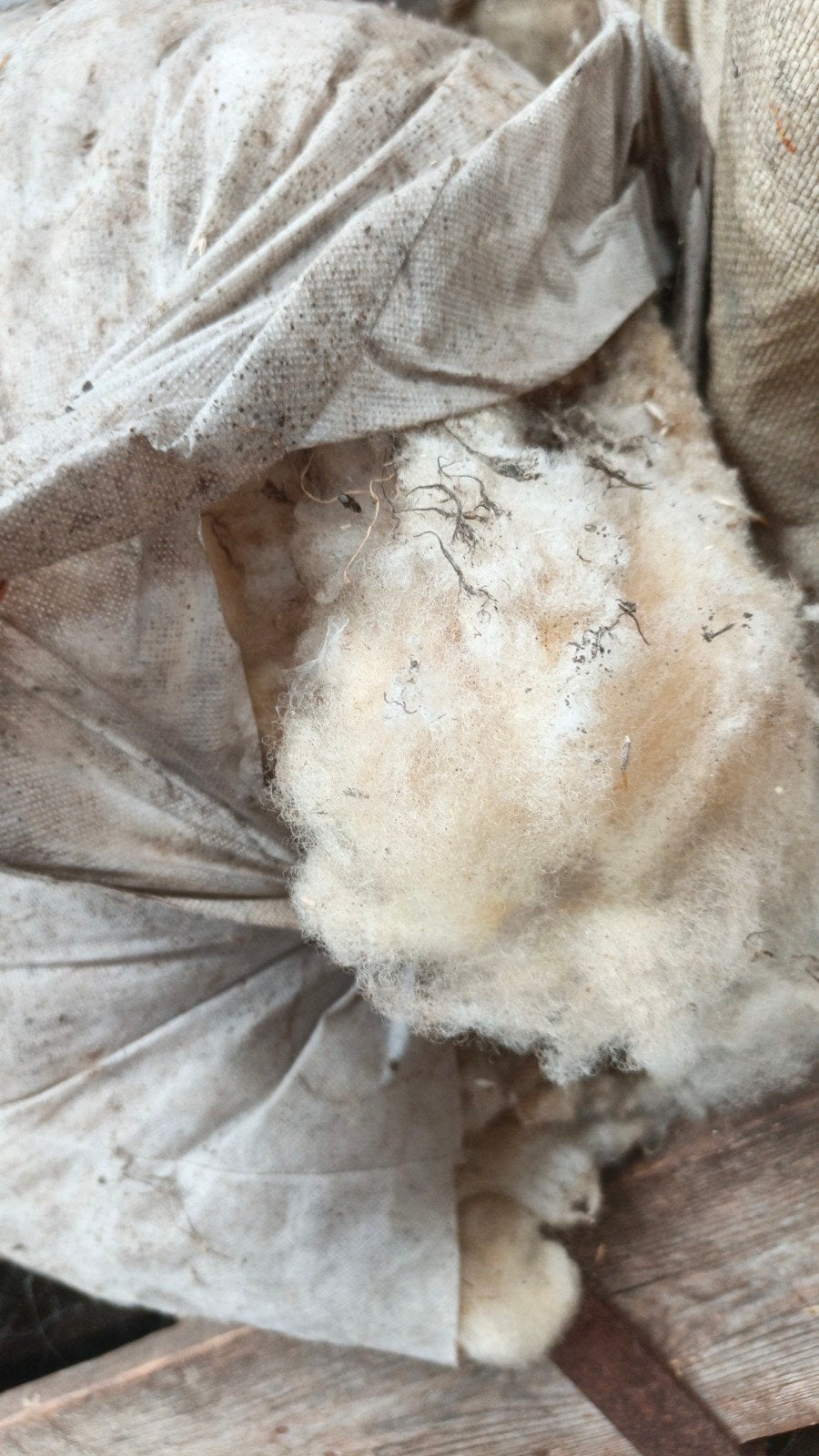 Schapen wol 5 zakken vol!, Ophalen