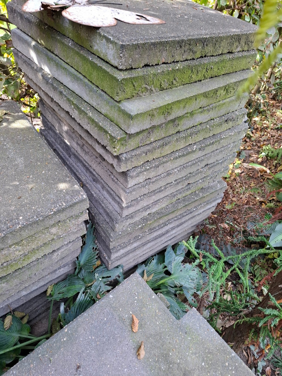 Gratis af te halen: 60+ gebruikte 50x50 terrastegels, Tuin en Terras, Ophalen, Gebruikt, 10 m² of meer, Beton