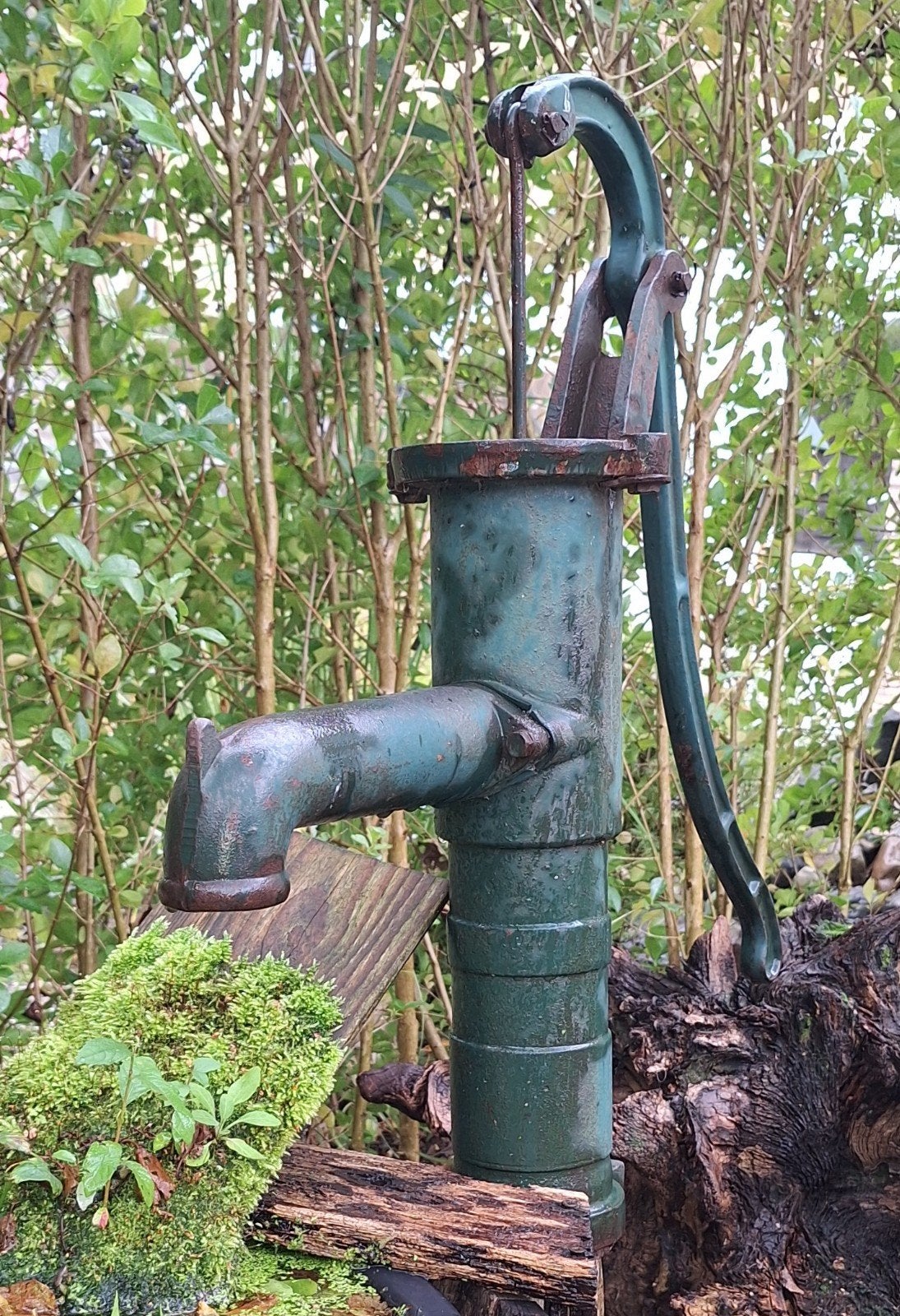 Waterpomp, sierpomp, ijzer, zonder binnenwerk., Ophalen, Gebruikt, Handmatig, Overige typen