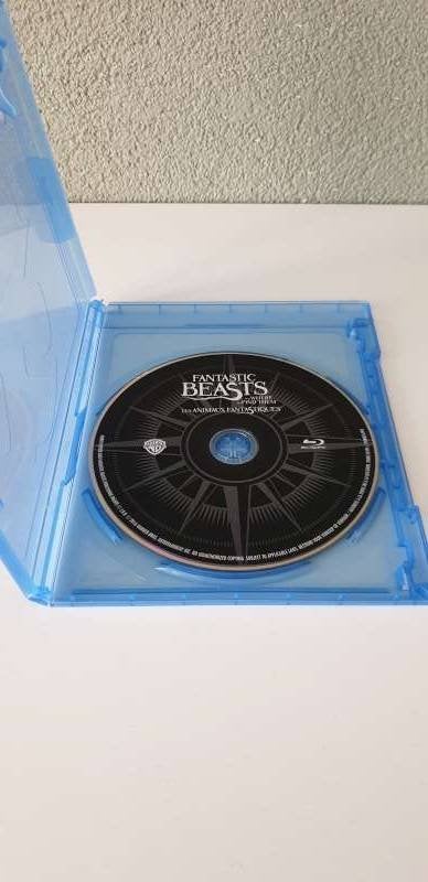 Fantastic Beasts And Where To Find Them, Engels, Nederlands, Film, Science Fiction en Fantasy