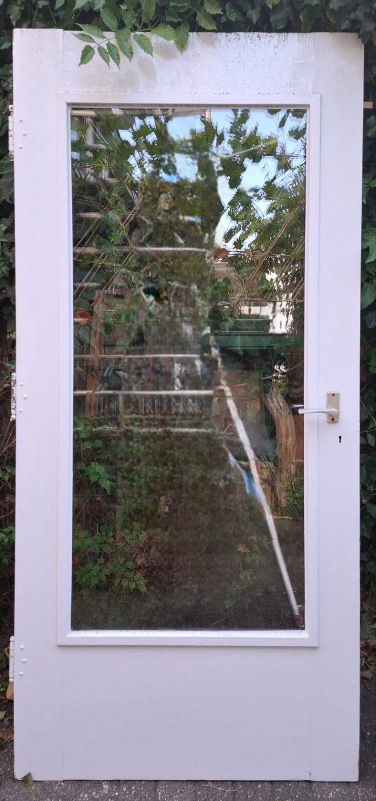 Gratis hardhouten buitendeur 203 x 94 met glas en deurbeslag, Ophalen, Gebruikt, 80 tot 100 cm, Buitendeur