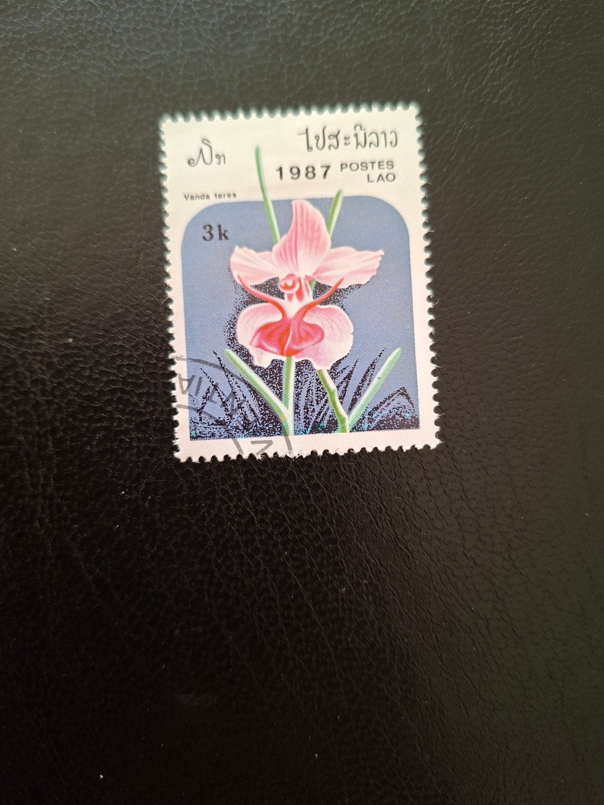 Bloemen.  Orchidee.  Laos, Ophalen of Verzenden, Dier of Natuur
