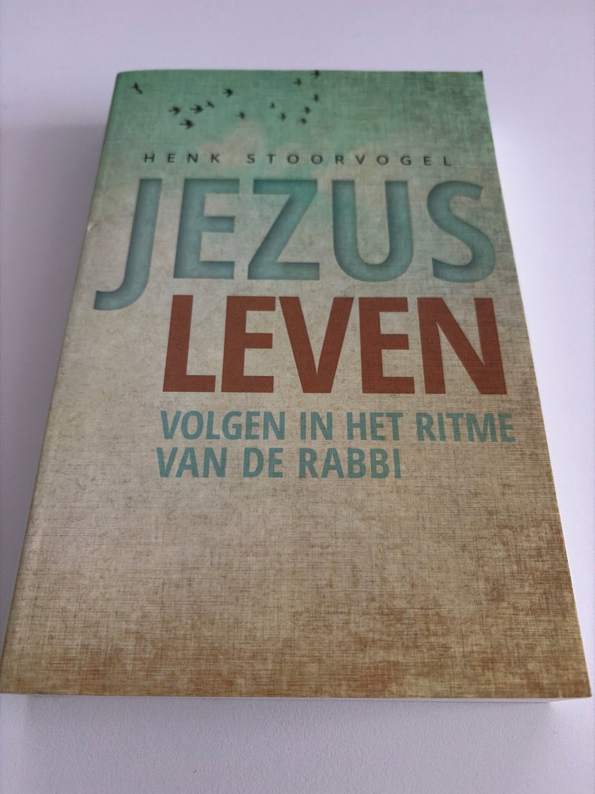 Jezus Leven - Henk Stoorvogel, Ophalen of Verzenden, Zo goed als nieuw, Christendom | Protestants