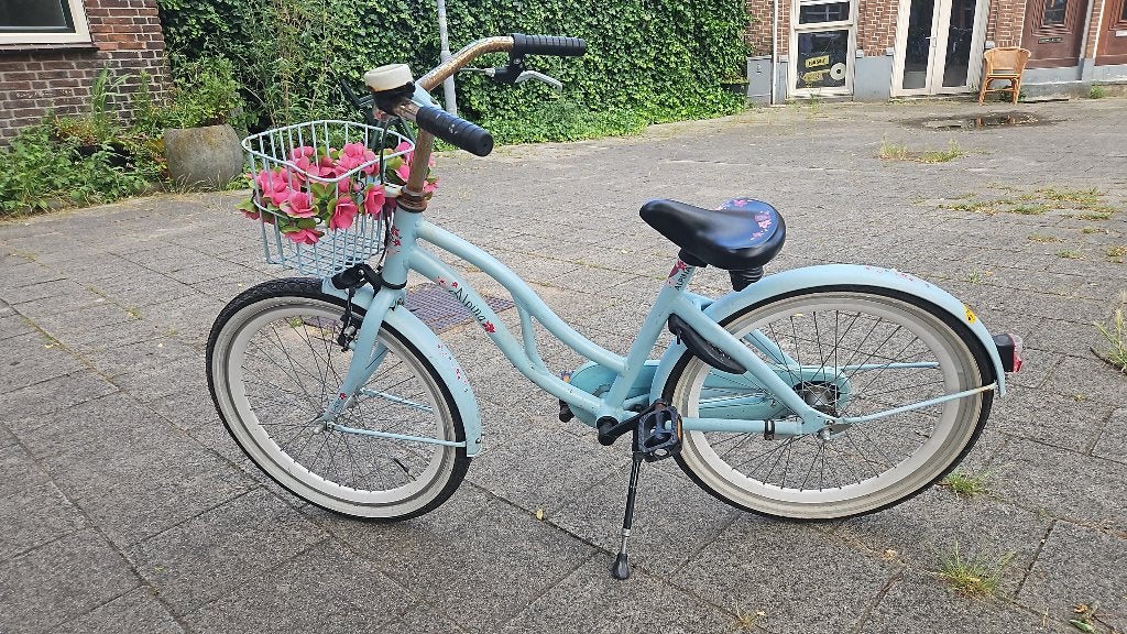 Kinderfiets Alpina 22 inch, Ophalen, 22 inch, Gebruikt, Alpina