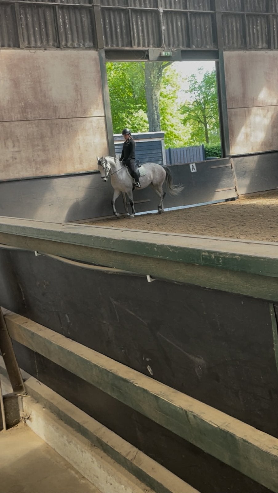Verzorg pony gezocht/ verzorgster aangeboden, Dieren en Toebehoren