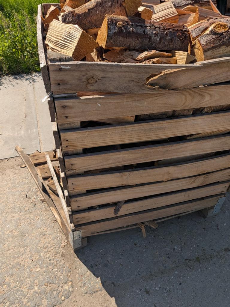 Droog douglas hout meer dan 1 kuub Incl kist €90, Minder dan 3 m³, Ophalen, Blokken