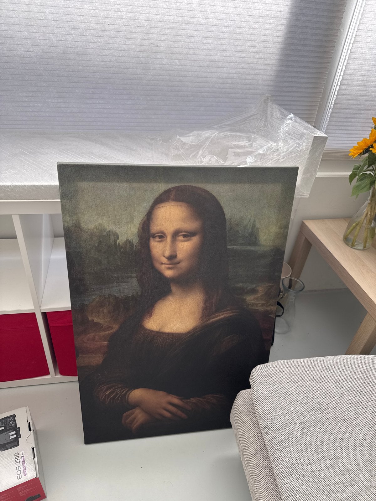 Mona Lisa Canvas Print - Klassiek Meesterwerk, Ophalen, Doek, Portret of Personen, Klassiek