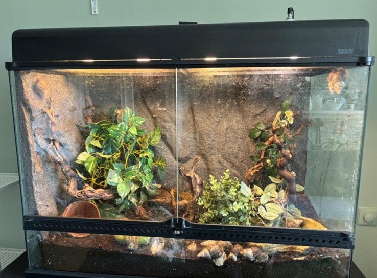 Exoterra terrarium compleet met inwoners en compact top, Ophalen, Zo goed als nieuw, Terrarium of Paludarium