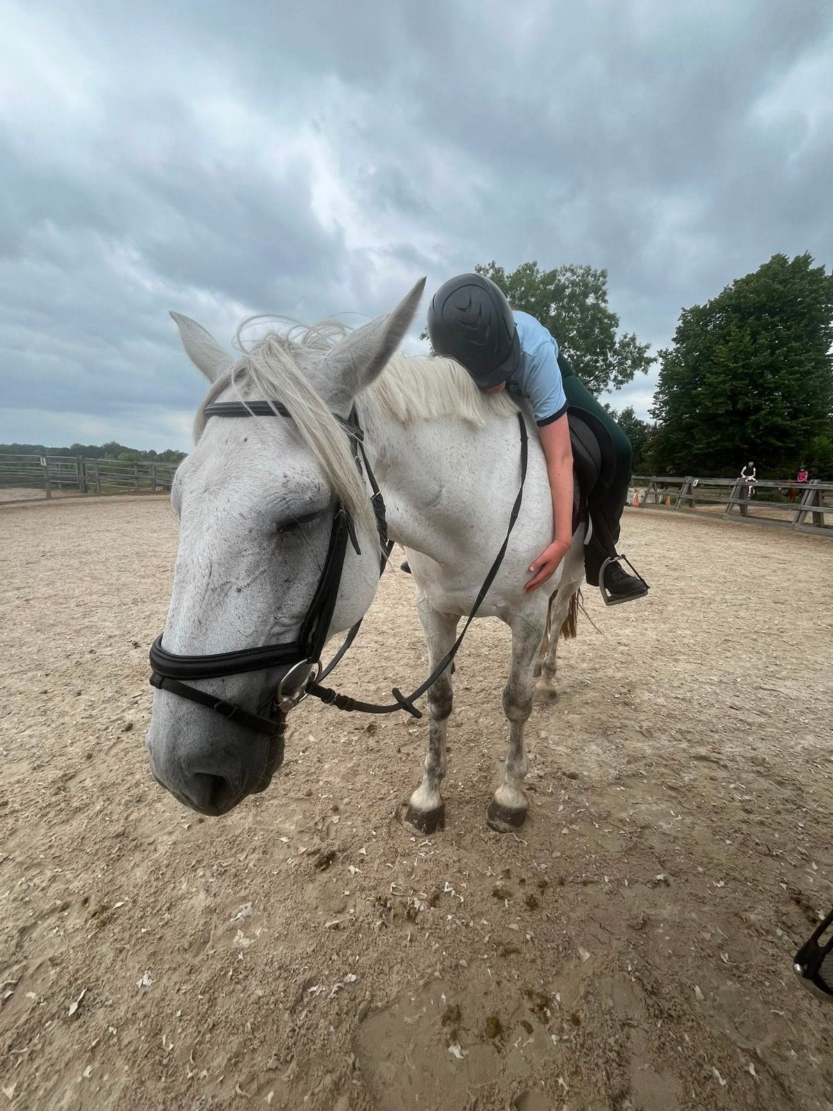 Leuke verzorg pony/paard gezocht!, Ophalen of Verzenden