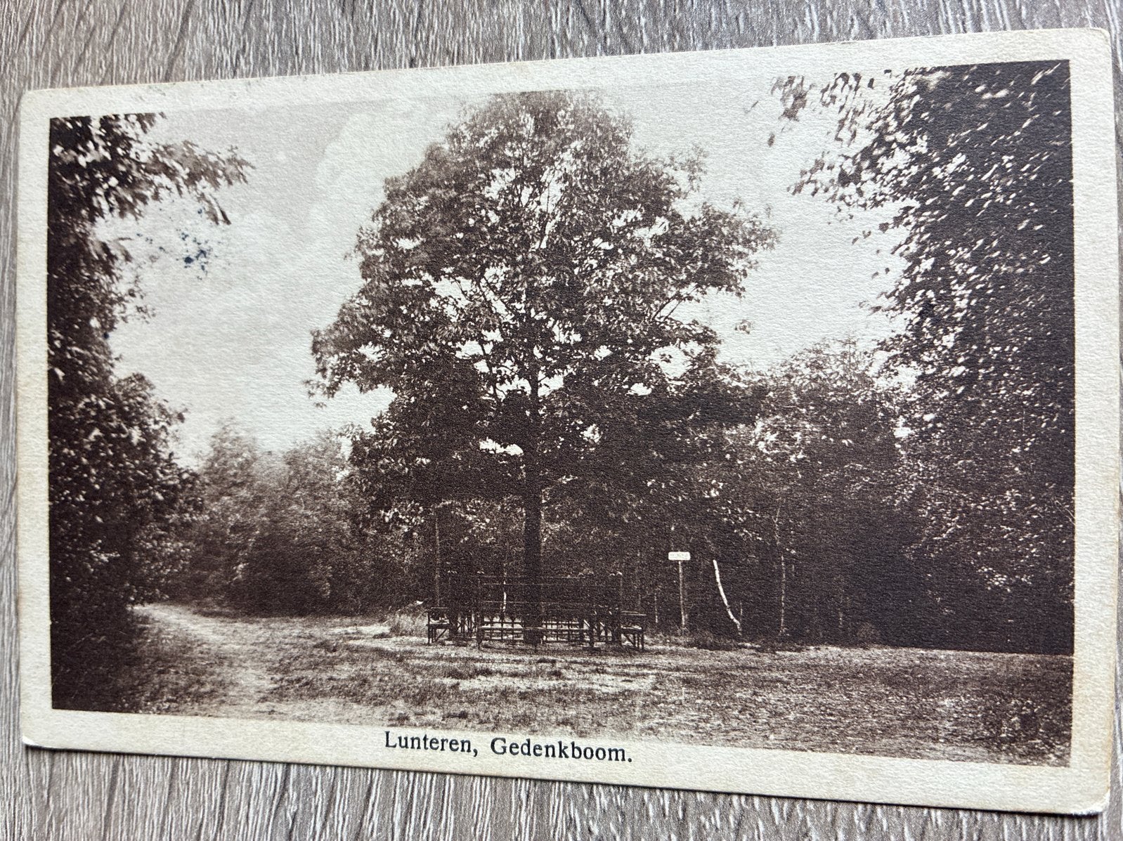 Oude Ansichtkaart Lunteren, Gedenkboom (1926), Ophalen of Verzenden, 1920 tot 1940, Gelopen, Gelderland
