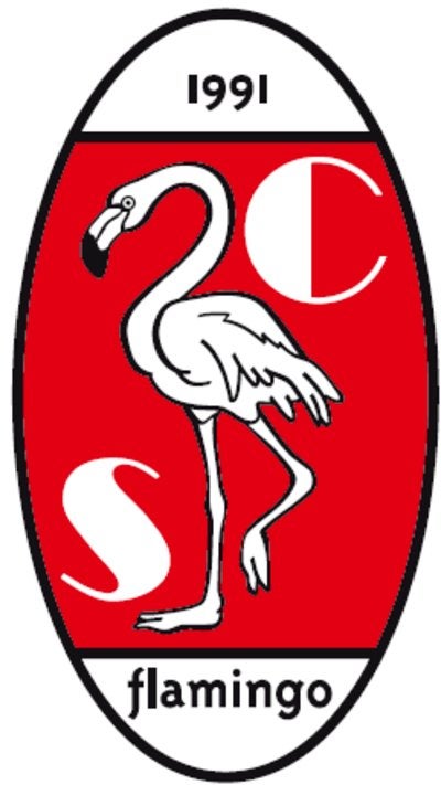 mooie nieuwe clubspeld sc flamingo leeuwarden, Verzenden, Nieuw, Sport, Speldje of Pin