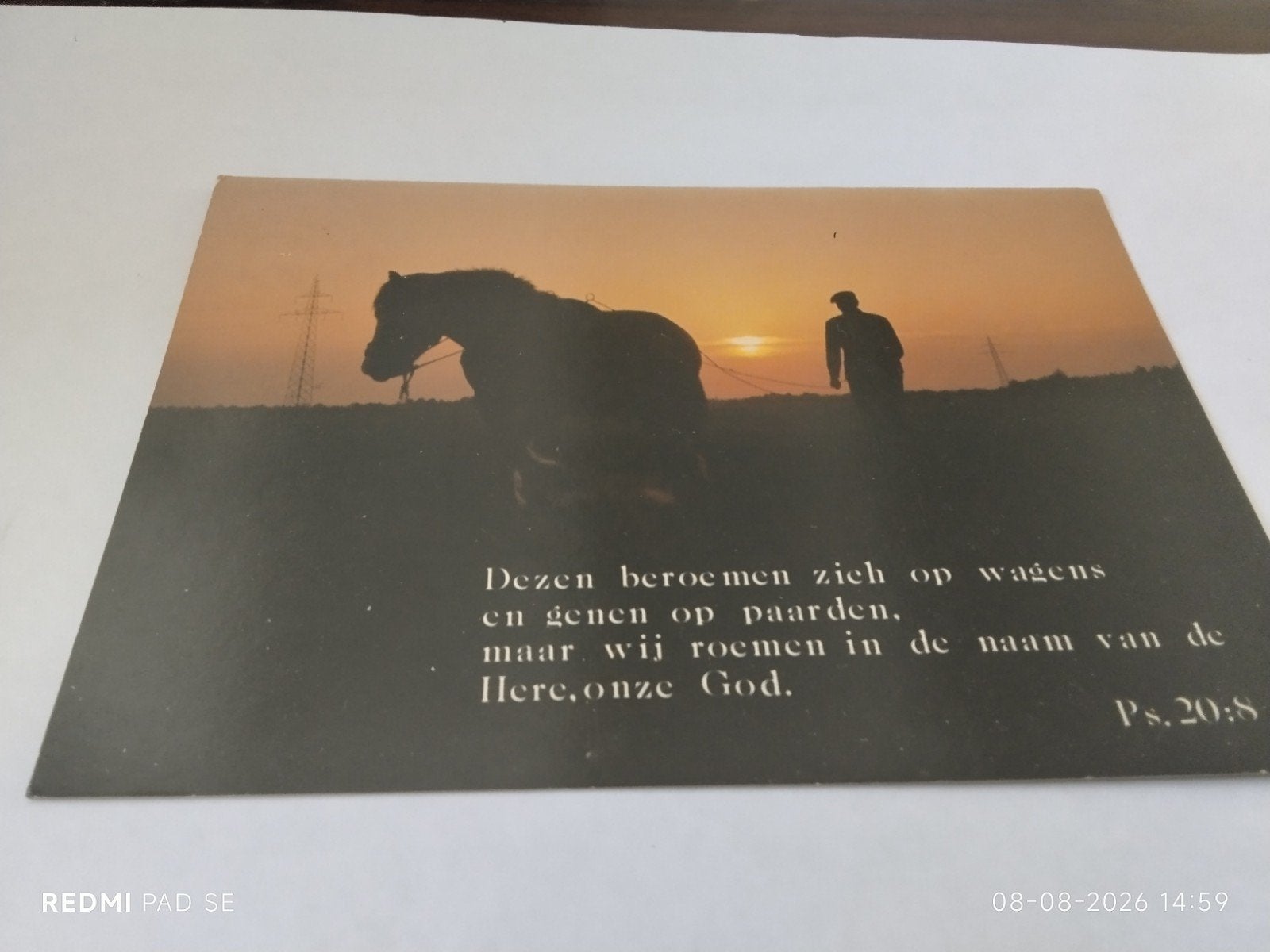 Oude ansichtkaart: Man met paard bij zonsondergang, Ophalen of Verzenden, 1940 tot 1960, Gelopen