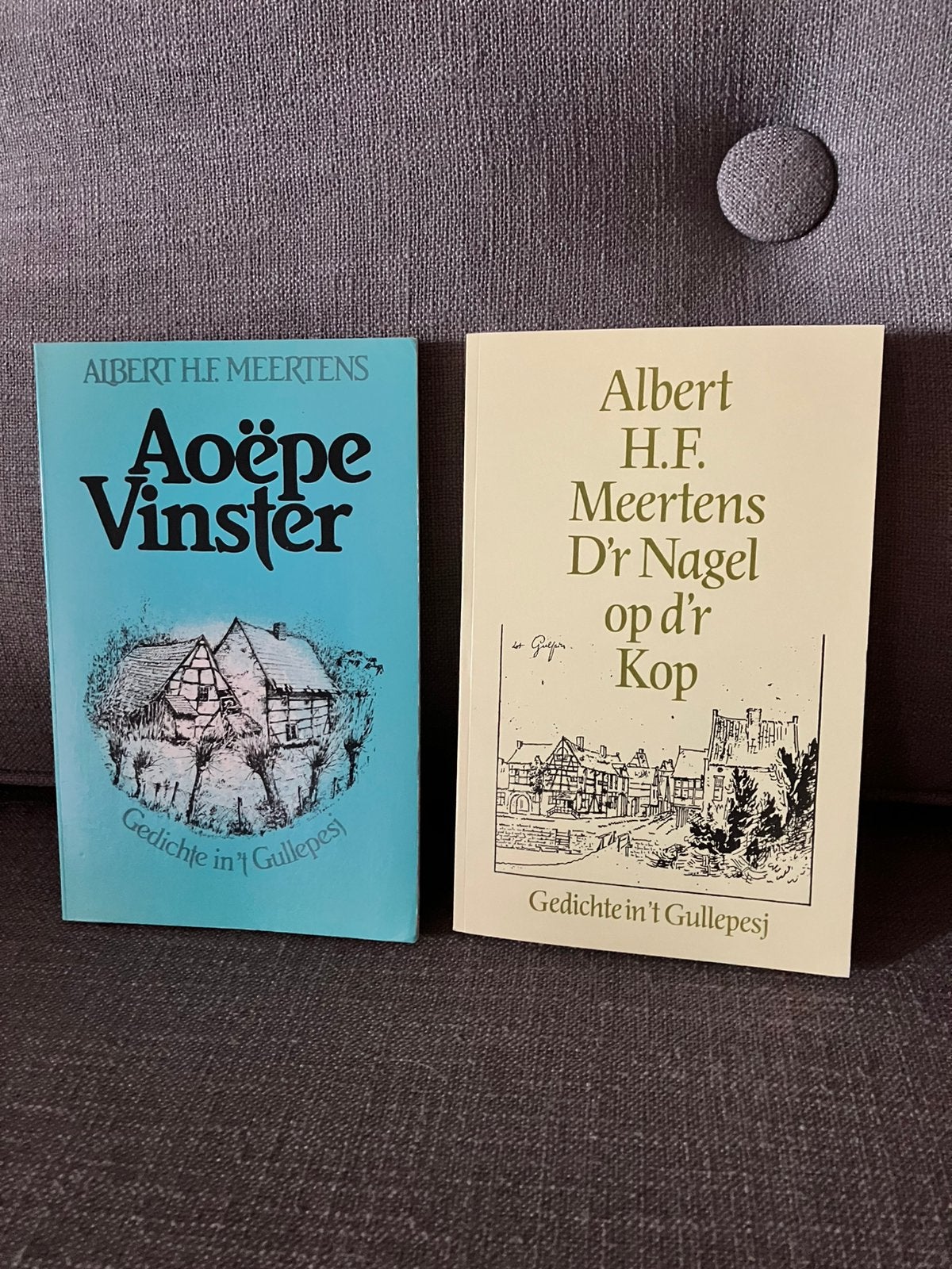 Aoëpe vinster & d’r nagel op d’r kop gedichten gulpen, Boeken, Ophalen of Verzenden, Gelezen