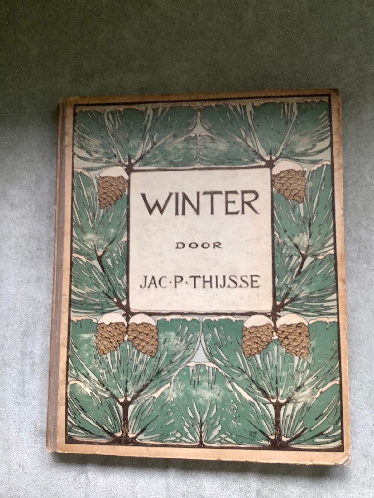 Winter -Jac.P. Thijsse, Boeken, Ophalen of Verzenden, Zo goed als nieuw, Vogels