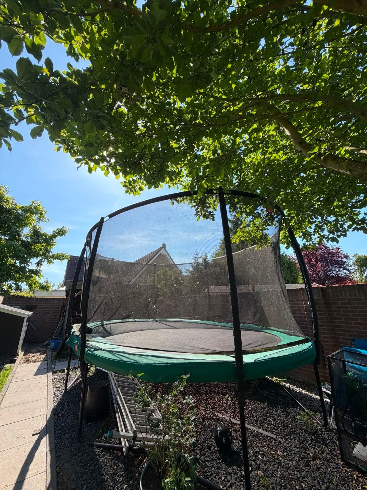 BERG Champion Trampoline Ovaal 520x345 cm met Deluxe net, Ophalen