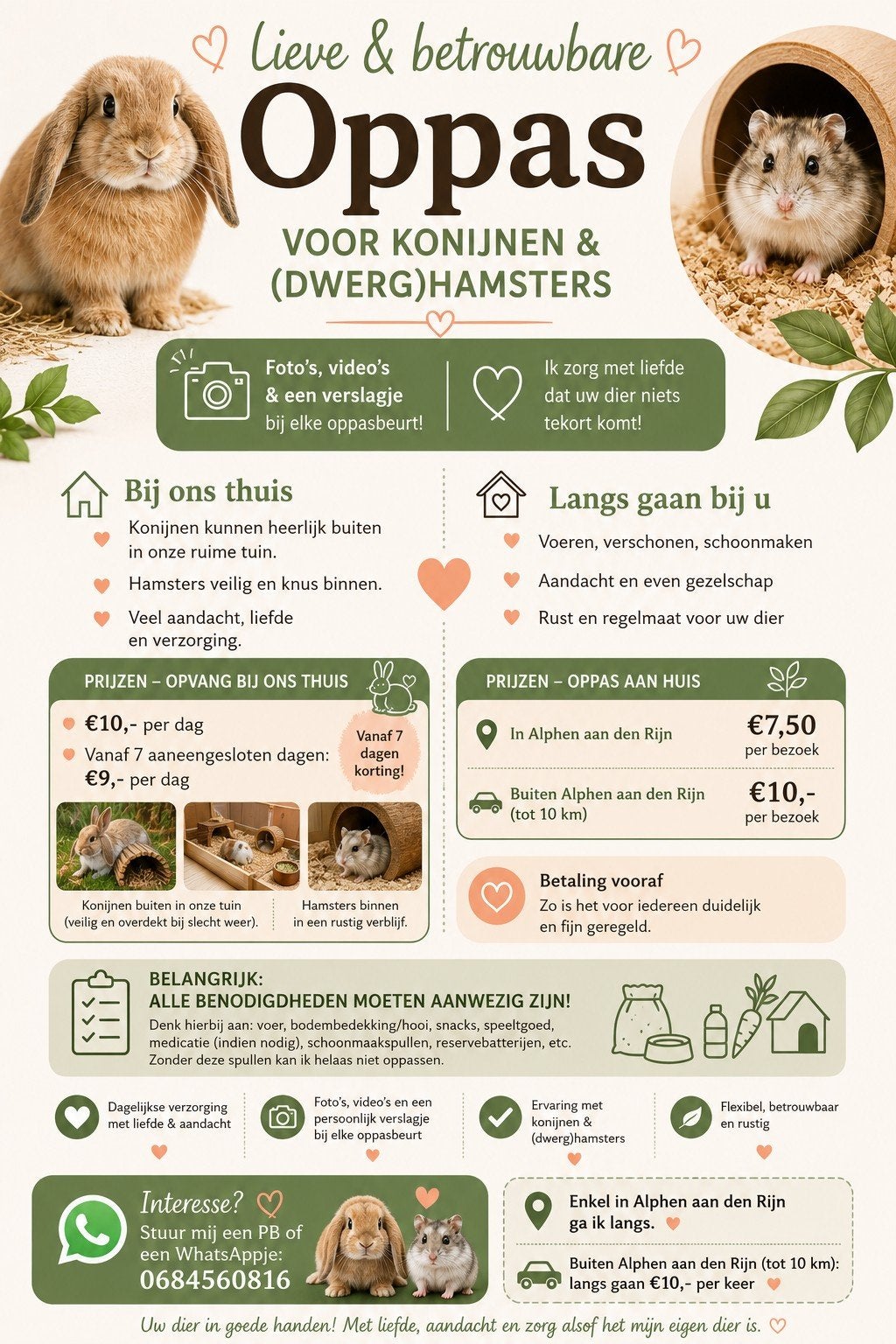 Volwassen oppas hamsters, konijnen en dwerghamsters, Ophalen of Verzenden
