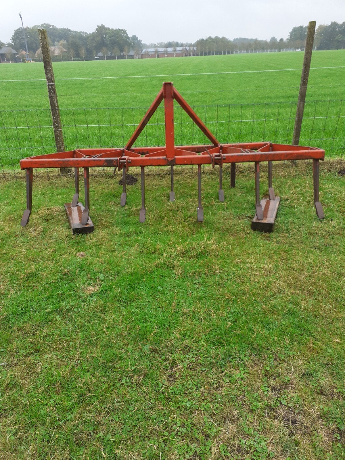 Te koop  teelbare zwarte zwaan man hekamp culivator  agraris, Dieren en Toebehoren, Mannelijk, Gans of Zwaan