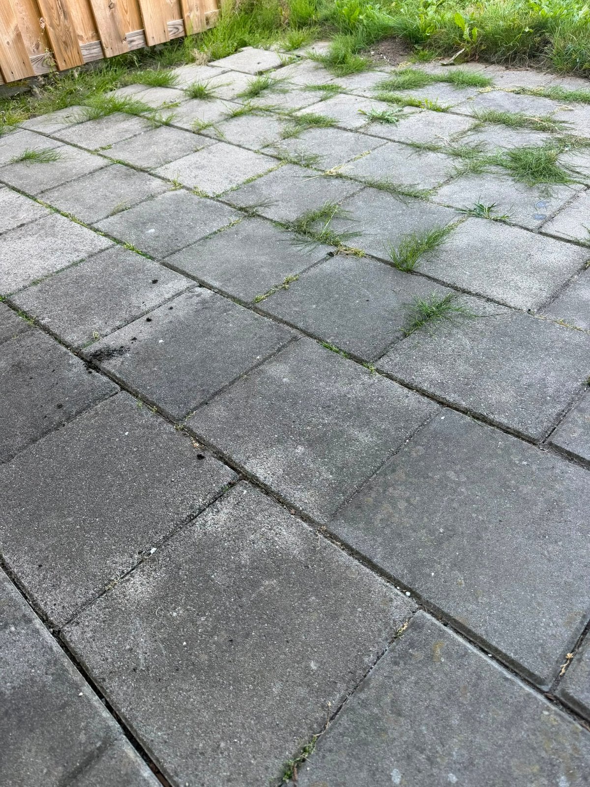 Gratis af te halen: ongeveer 18 m² betontegels!, Tuin en Terras, Tegels en Klinkers, Ophalen, Gebruikt, 10 m² of meer, Beton