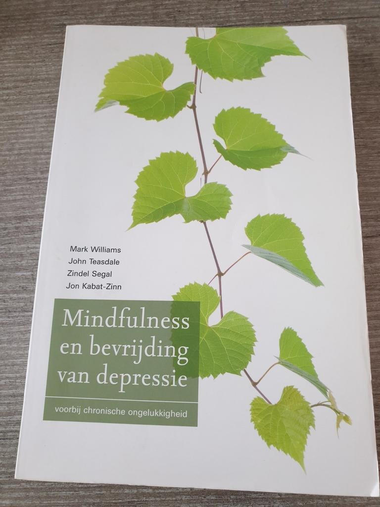 Mindfulness en bevrijding van depressie, Boeken, Ophalen of Verzenden, Gelezen, Mark Williams, John Teasdale, Zindel Segal, Jon Kabat-Zinn