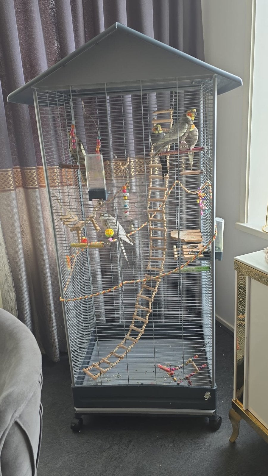 Tamme Vogels met kooi, Meerdere dieren