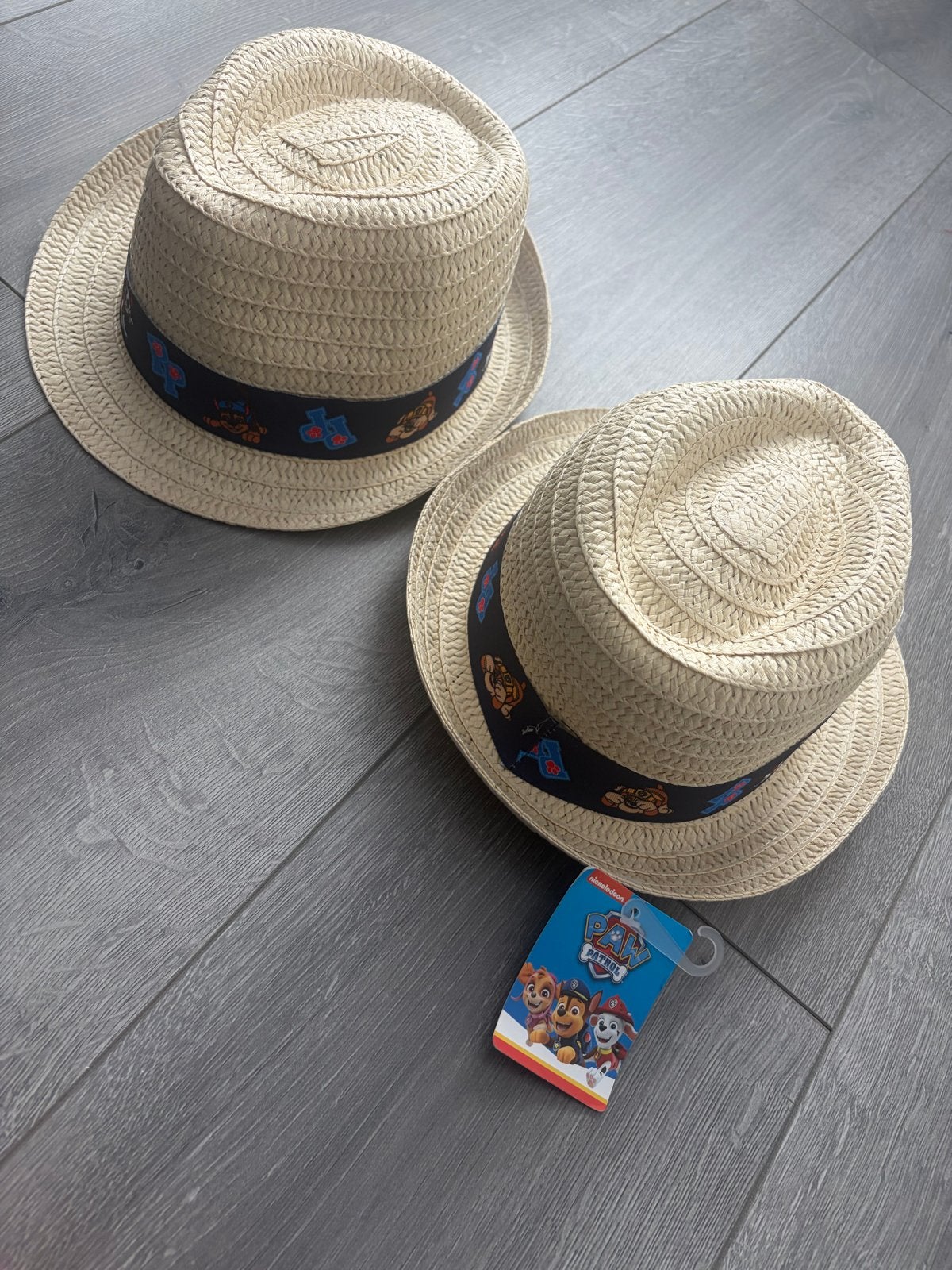 Paw Patrol hoeden voor kinderen - Nieuw, Jongetje of Meisje, Hoed, Nieuw, Ophalen of Verzenden