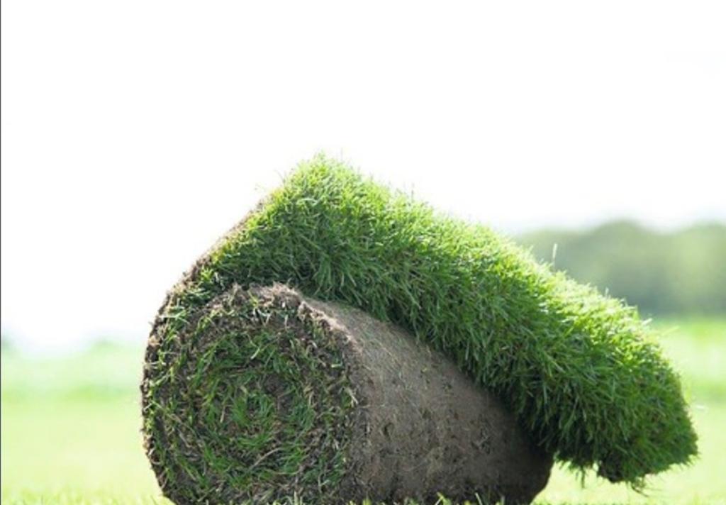 Graszoden over van een klusje, Ophalen of Verzenden, Nieuw, 20 m² of meer