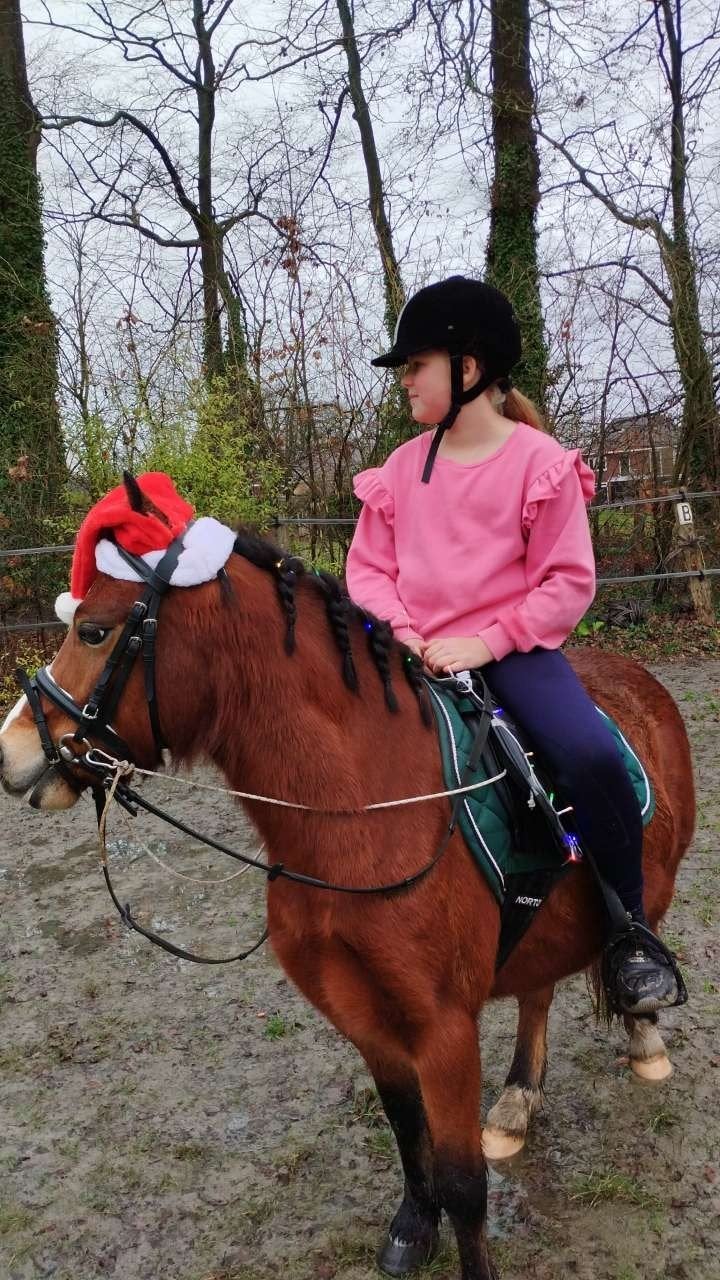 Gezocht: Bijrijdpony omgeving Enschede!, Ophalen of Verzenden