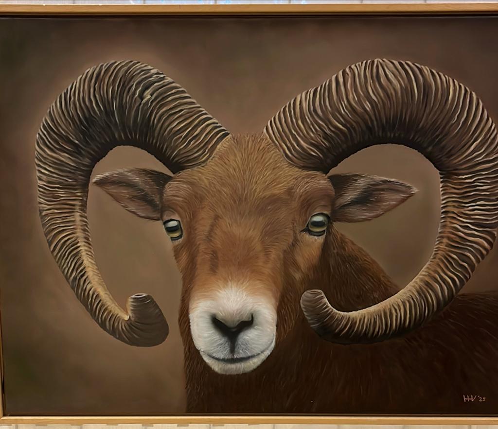 Olieverfschilderij Moeflon - 60x80 cm met baklijst, Ophalen