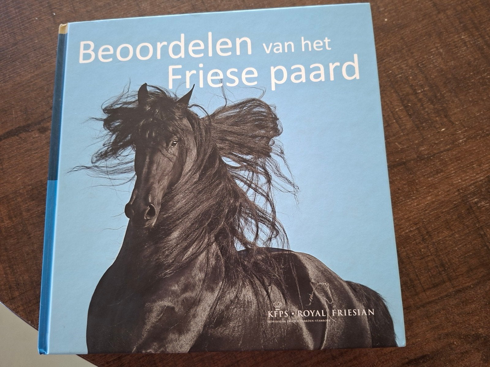 Beoordelen van het  Friese paard, Ophalen, Zo goed als nieuw, Sabien zwaga