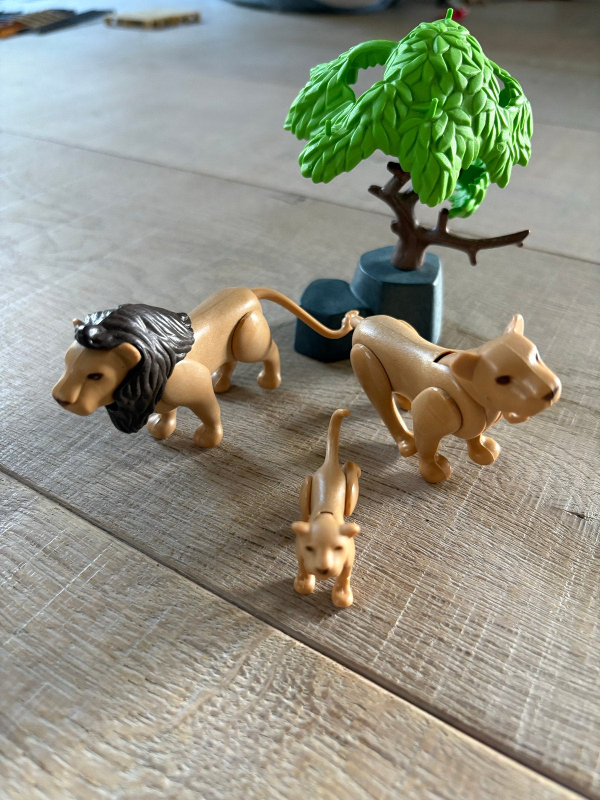 Playmobil Leeuwenfamilie 6642 met boom, Wild life, Gebruikt, Complete set, Ophalen of Verzenden