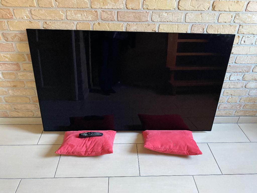 LGOLED TV 65 inch, Audio, Tv en Foto, Televisies, Ophalen, Gebruikt, 50 Hz, OLED