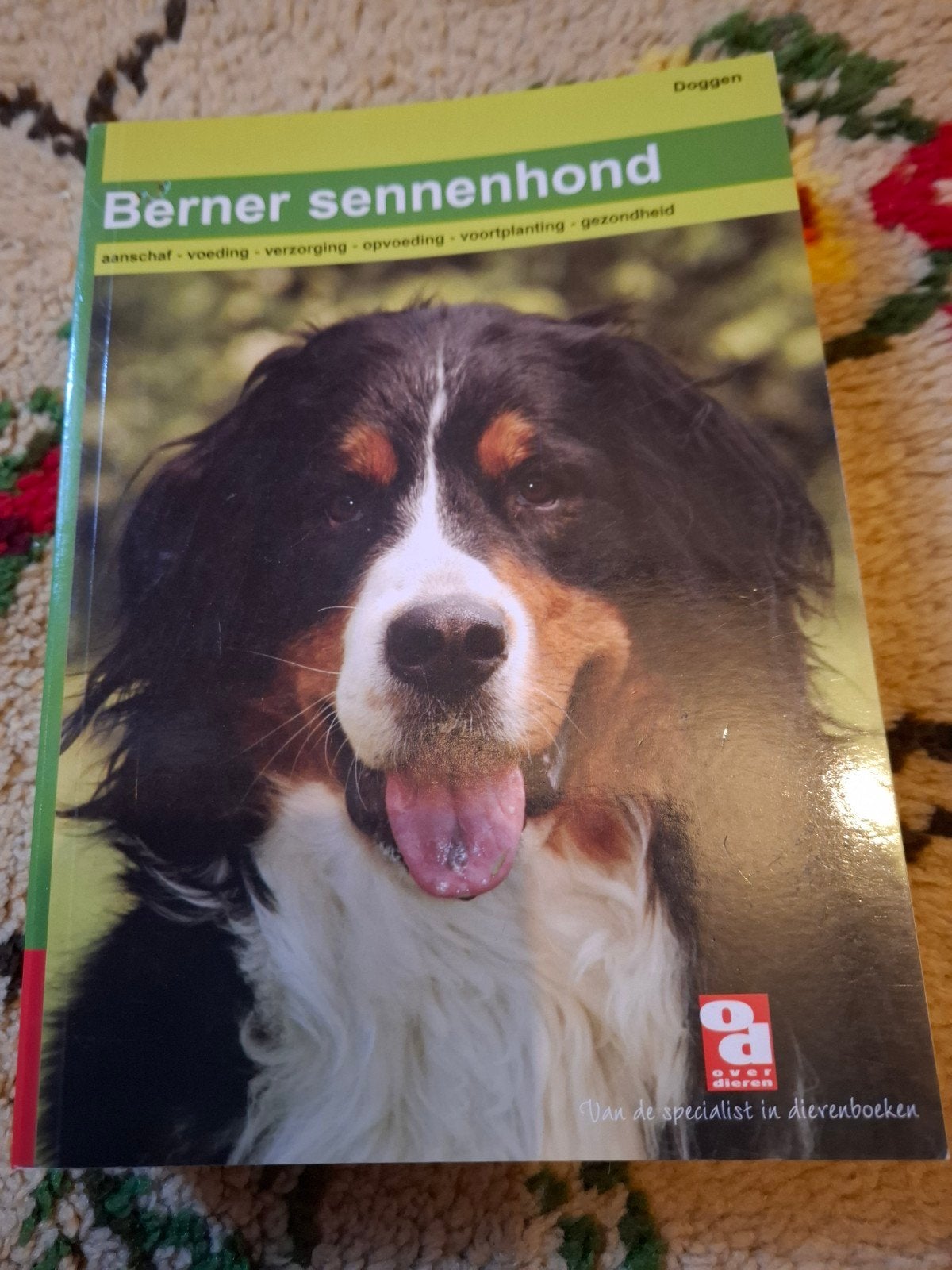 Bernersennenhond: Aanschaf, voeding, verzorging en meer, Ophalen of Verzenden, Gelezen, Honden, Doggen