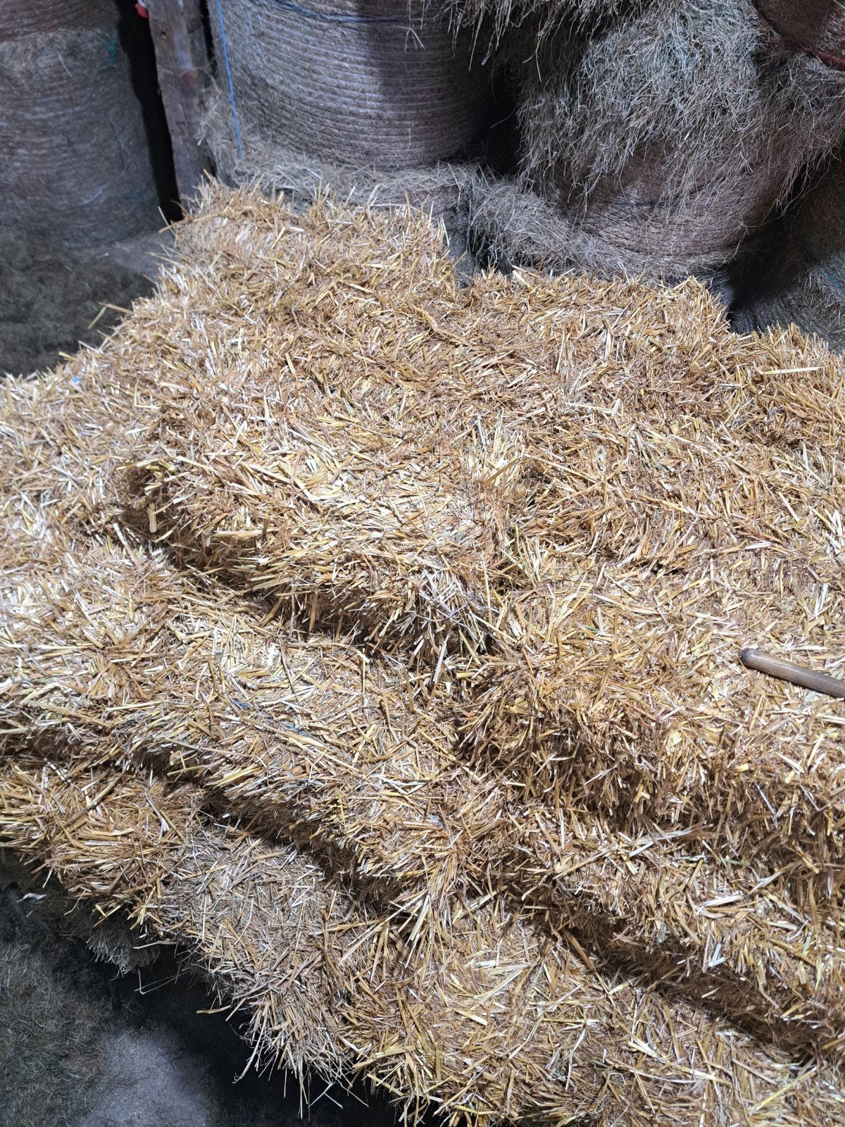 Strobalen te koop - Ideaal voor dieren en decoratie, Ophalen of Verzenden